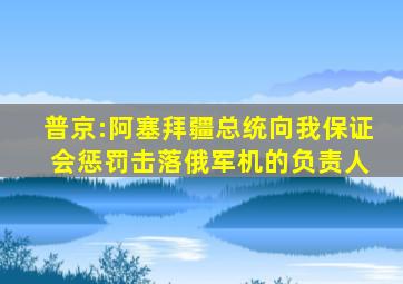 普京:阿塞拜疆总统向我保证 会惩罚击落俄军机的负责人